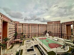 Blk 497B Tampines Street 45 (Tampines), HDB 4 Rooms #521783291